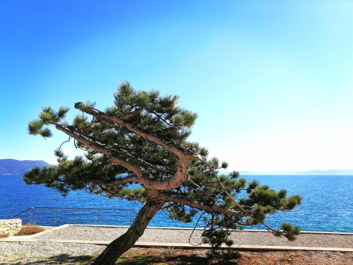 Apartment Layla - Intermezzo With Sea View In Center Of Rabac Kültér fotó